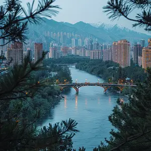 蟹棒美食做法简单