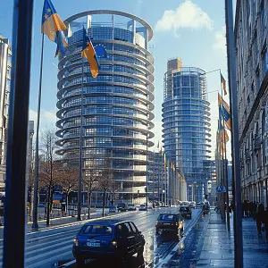 鸡冠子美食做法